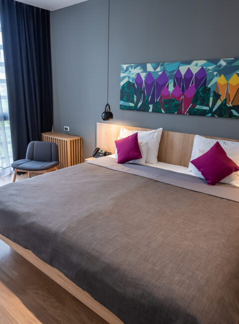 Superior soba Hotel Academia